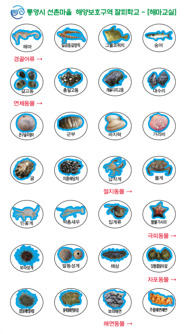 2025년 해마교실 아동대상 교재, 스티커 (3).png